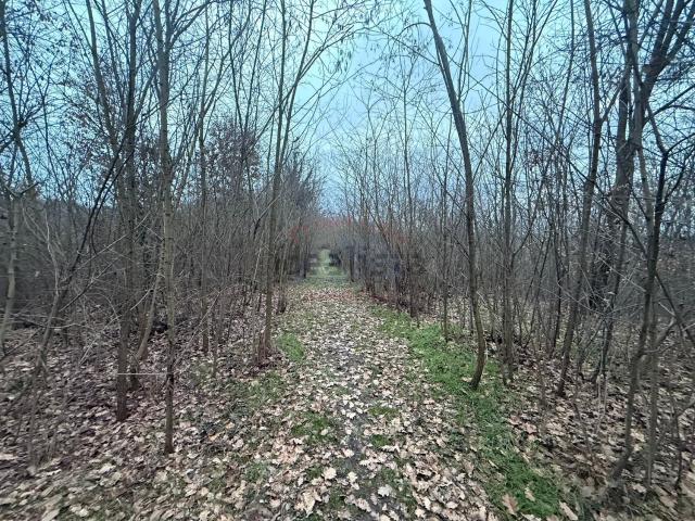 Terreno in vendita a Piemonte, Asti