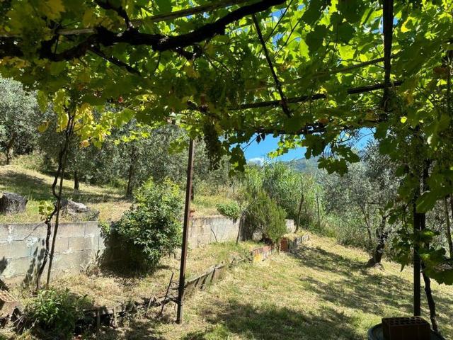 Terreno in vendita a Pistoia, Toscana