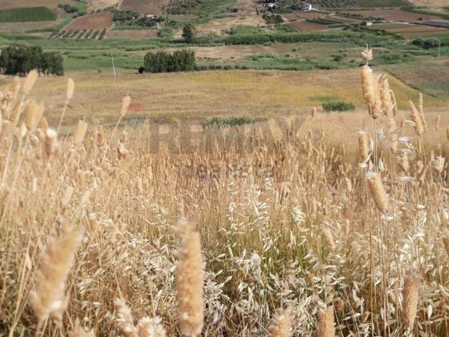 Terreno in vendita a Calatafimi, Sicilia