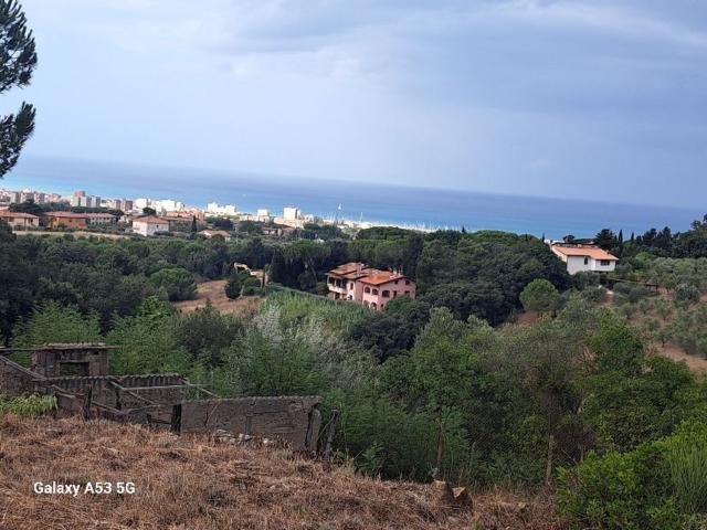 Terreno in vendita a Rosignano Marittimo, Toscana