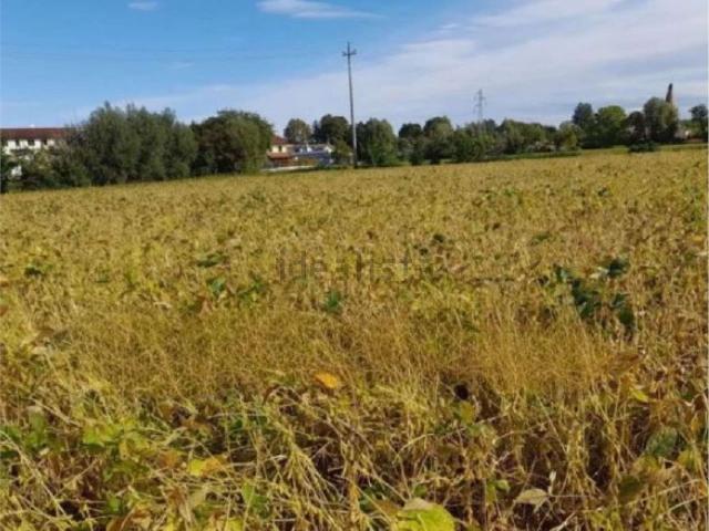 Terreno in vendita a Fossalta, Veneto
