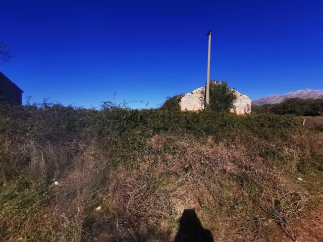 Terreno in vendita a Foresta, Calabria