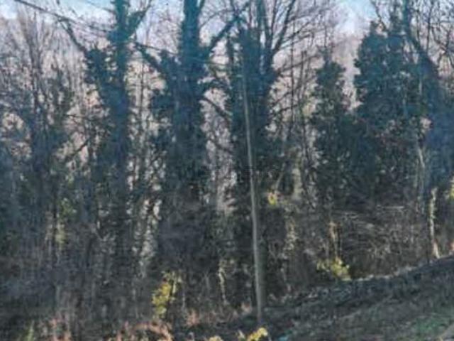 Terreno in vendita a Gosi, Piemonte