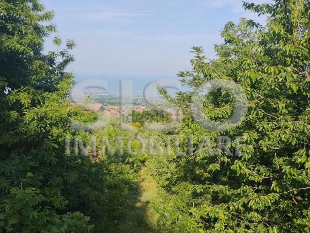 Terreno in vendita a Zafferana Etnea, Sicilia