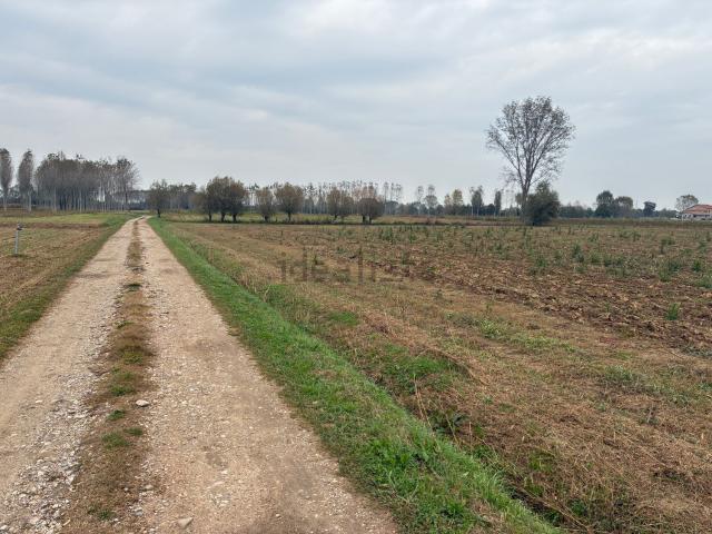 Terreno in vendita a Vedelago, Veneto