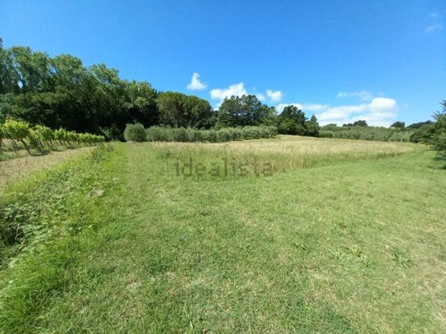 Terreno in vendita a Collesalvetti, Toscana
