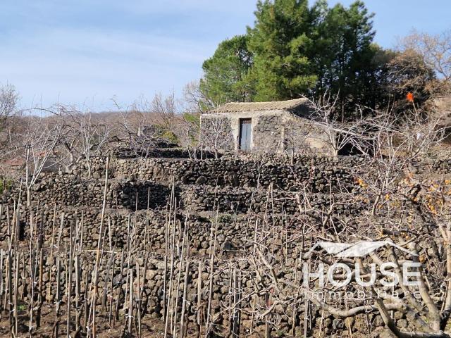 Terreno in vendita a Santa Maria Di Licodia, Sicilia