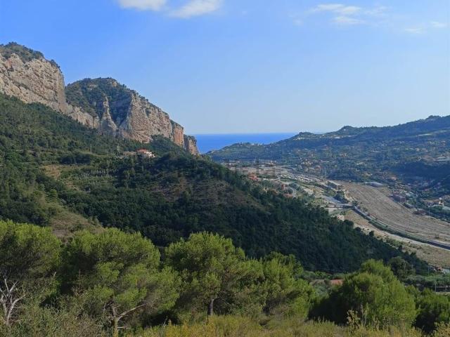 Terreno in vendita a Camporosso, Liguria