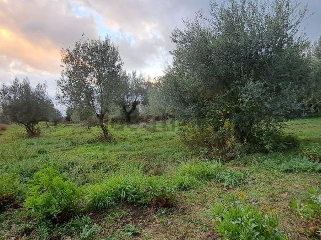 Terreno in vendita a Morsillara, Stefanaconi