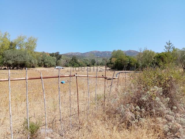 Terreno in vendita a Dolianova, Sardigna/Sardegna