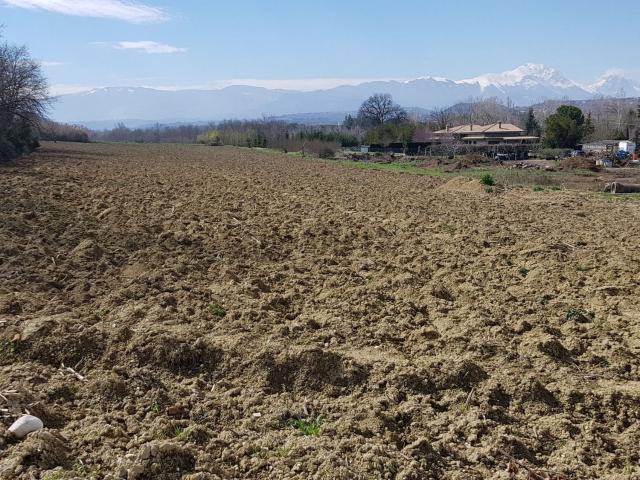 Terreno in vendita a Moscufo, Abruzzo