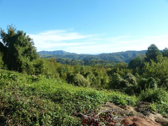 Terreno in vendita a Badia Calavena, Verona