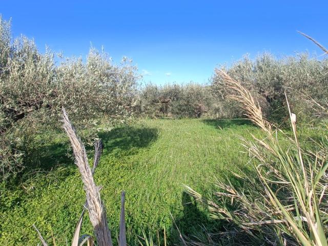 Terreno in vendita a Castroreale, Sicilia