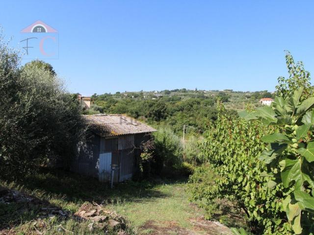 Terreno in vendita a Amelia, Umbria