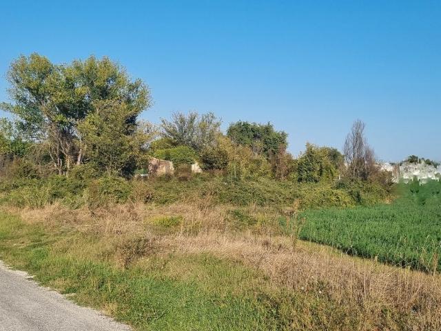 Terreno in vendita a Corridonia, Macerata