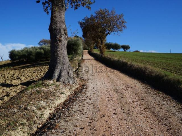 Terreno in vendita a Trecastelli, Marche