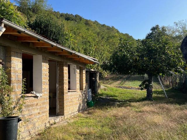 Terreno in vendita a Bolsena, Lazio