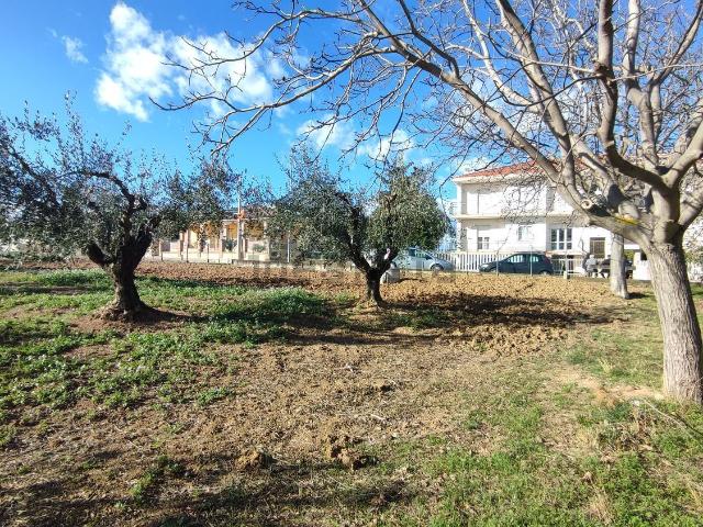 Terreno in vendita a Silvi, Abruzzo