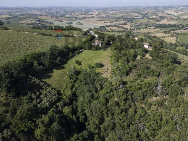 Terreno in vendita a Marche, Ancona