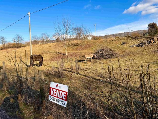 Terreno in vendita a Limana, Veneto
