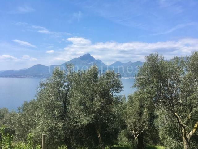 Terreno in vendita a Torri Del Benaco, Veneto