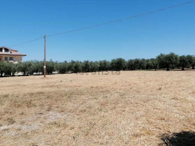 Terreno in vendita a Arielli, Abruzzo