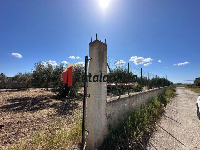 Terreno in vendita a Castelvetrano, Sicilia