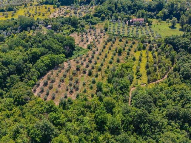 Terreno in vendita a Mompeo, Lazio