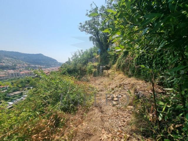 Terreno in vendita a Ventimiglia, Liguria