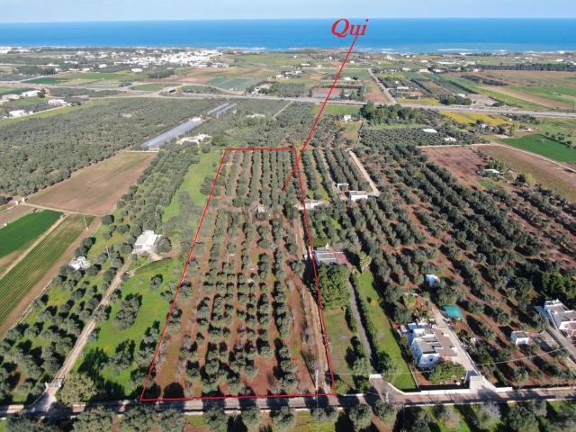 Terreno in vendita a Puglia, Brindisi