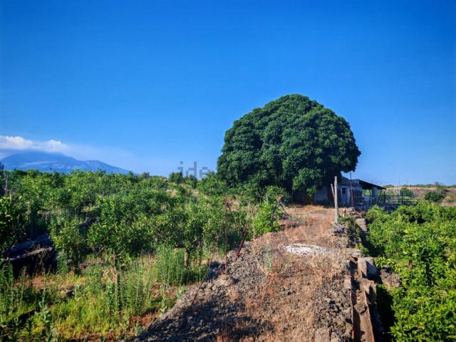 Terreno in vendita a Santa Marina, Paternò