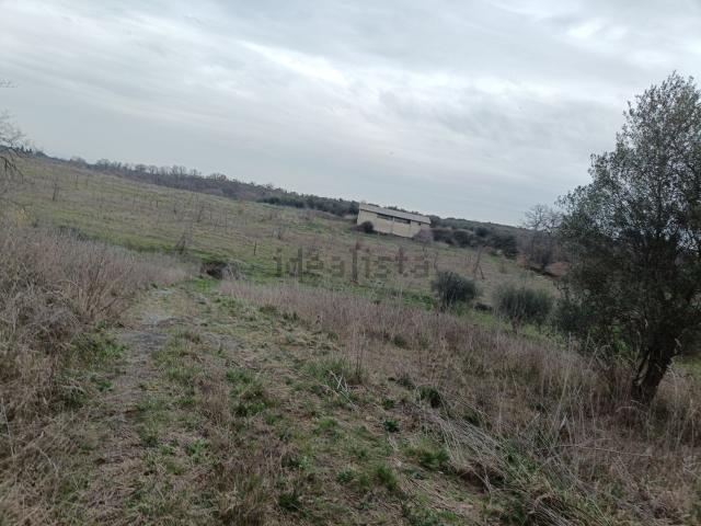 Terreno in vendita a Tre Croci, Vetralla