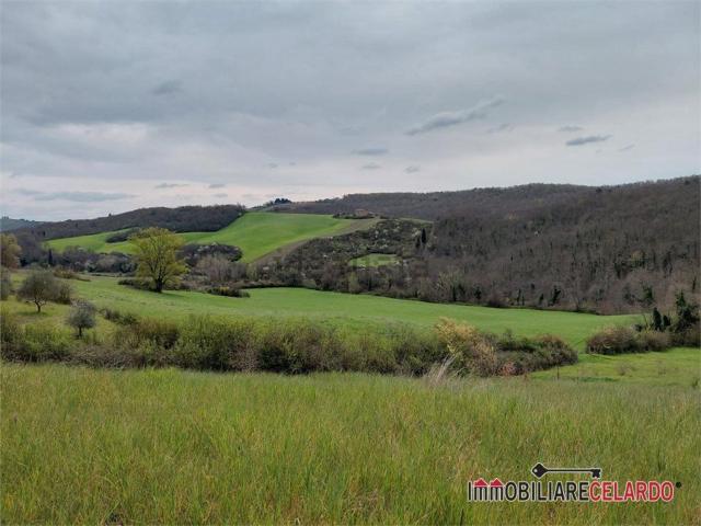 Terreno in vendita a Calcinaia, Lecchi