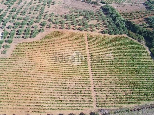 Terreno in vendita a Alcamo, Trapani