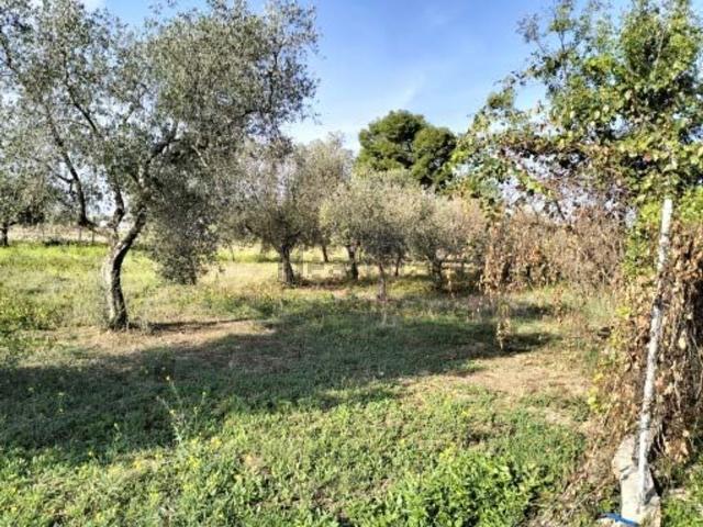 Terreno in vendita a Puglia, Foggia