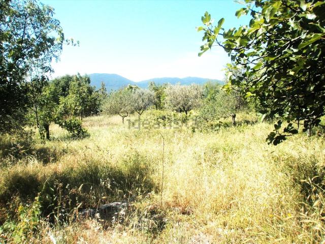 Terreno in vendita a Fiuggi, Lazio