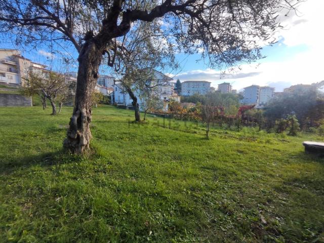 Terreno in vendita a Calabria, Cosenza