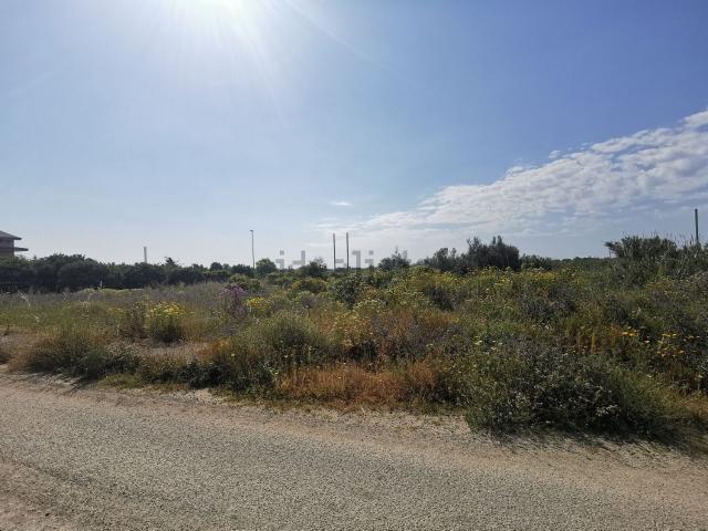 Terreno in vendita a Calabria, Catanzaro