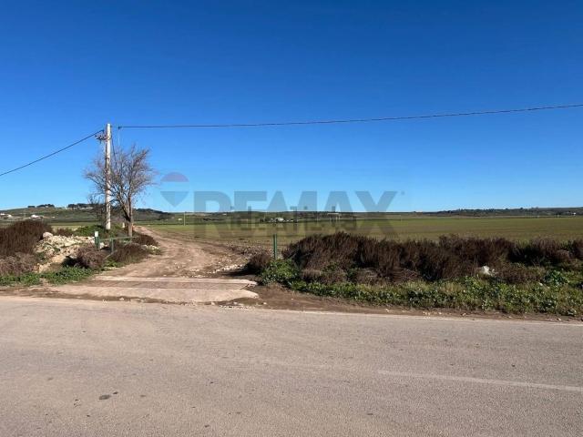 Terreno in vendita a Puglia, Foggia