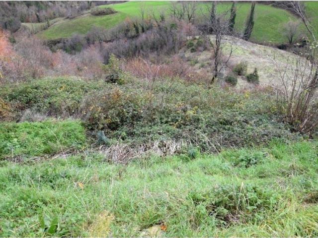 Terreno in vendita a Unione di Comuni della Romagna Forlivese, Santa Sofia