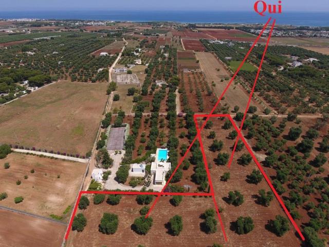 Terreno in vendita a Puglia, Brindisi