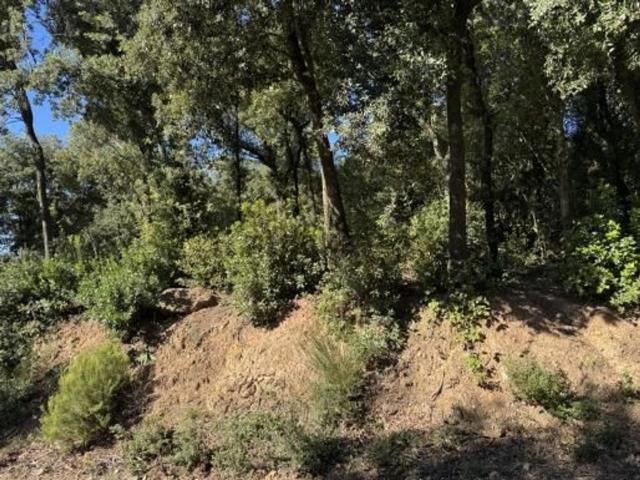 Terreno in vendita a Bivio Di Ravi, Toscana