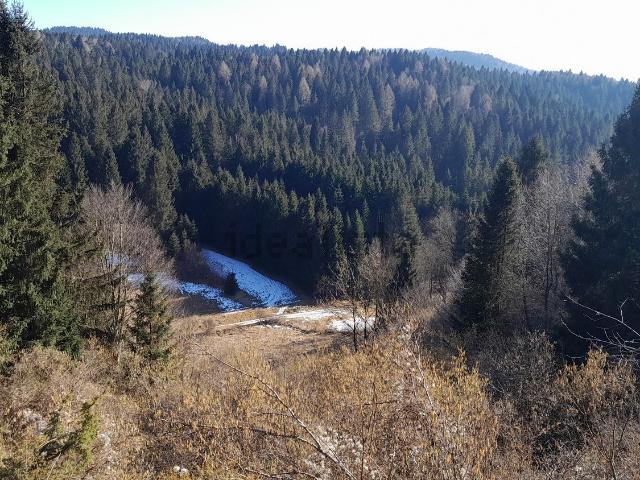 Terreno in vendita a Canove Di Roana, Veneto