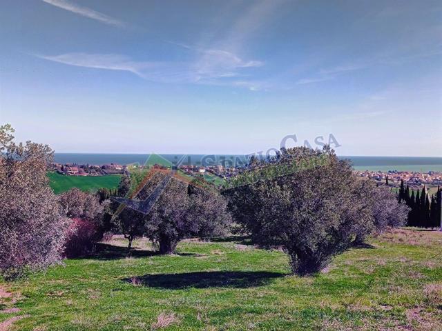 Terreno in vendita a Montone, Mosciano Sant'angelo
