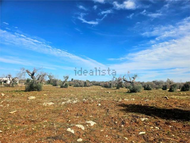 Terreno in vendita a Puglia, Brindisi