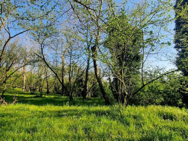 Terreno in vendita a San Felice, Capriglia Irpina
