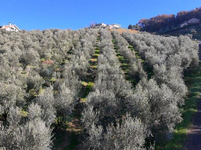 Terreno in vendita a Chieti, Abruzzo