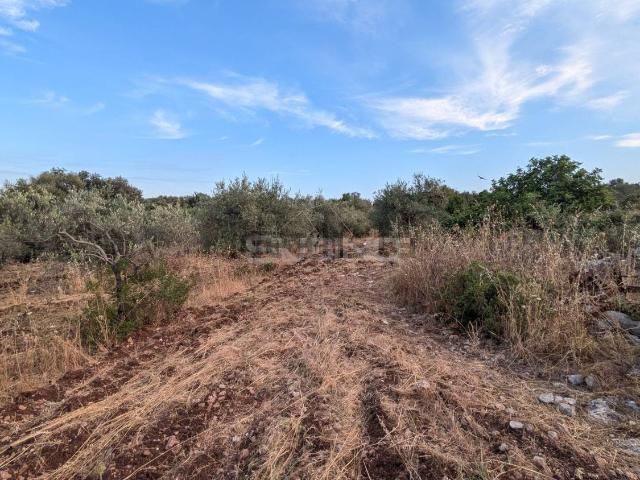 Terreno in vendita a Siracusa, Sicilia