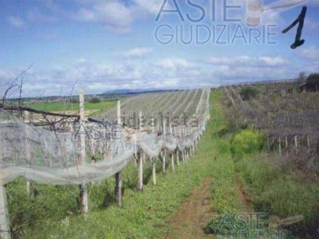 Terreno in vendita a Caltagirone, Sicilia