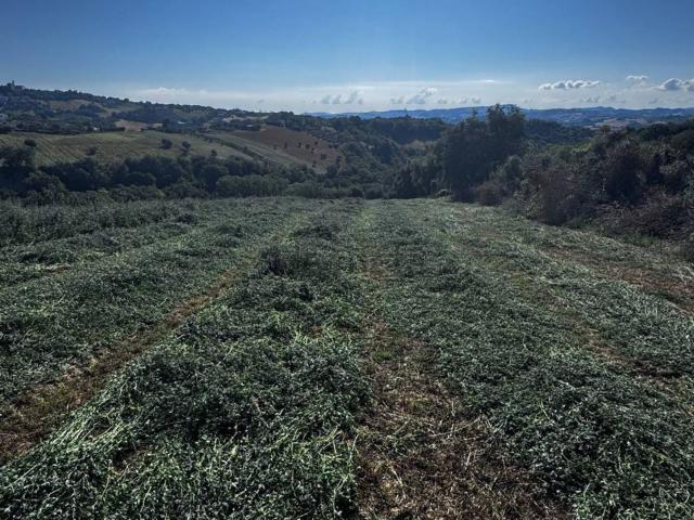 Terreno in vendita a Marche, Fermo